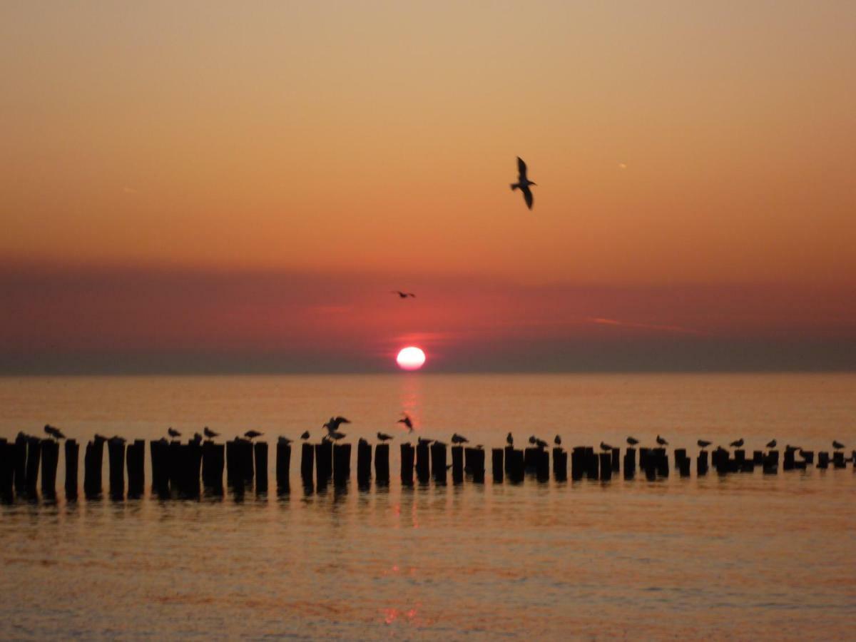 Prachtige Vakantiewoning Dichtbij Bos En Strand Ok22 โอชต์คาเปลเล ภายนอก รูปภาพ